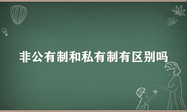 非公有制和私有制有区别吗