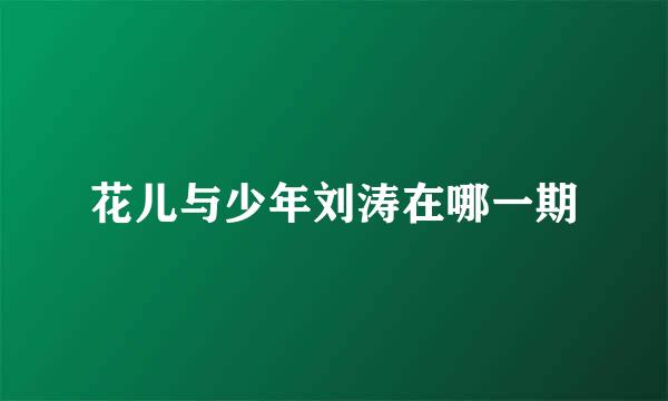 花儿与少年刘涛在哪一期