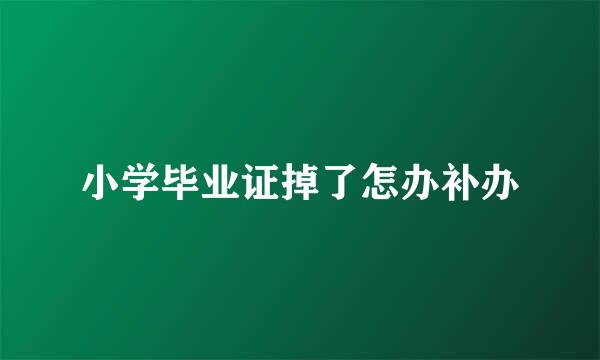 小学毕业证掉了怎办补办