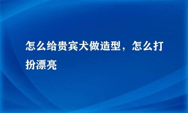 怎么给贵宾犬做造型，怎么打扮漂亮