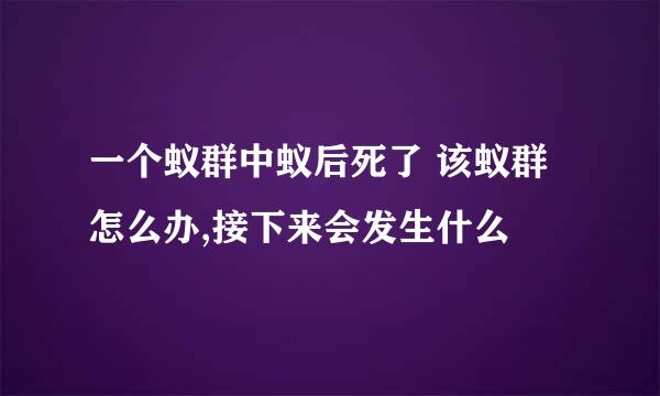 一个蚁群中蚁后死了 该蚁群怎么办,接下来会发生什么