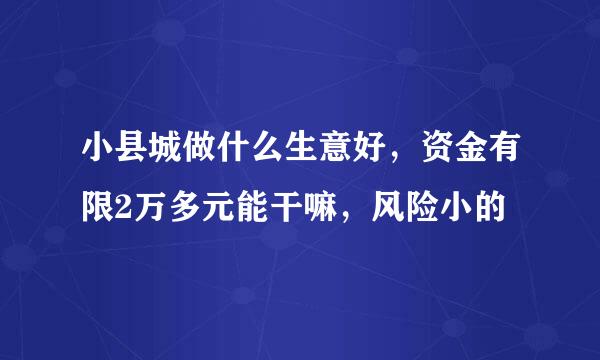 小县城做什么生意好，资金有限2万多元能干嘛，风险小的