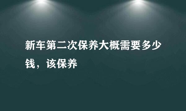 新车第二次保养大概需要多少钱，该保养