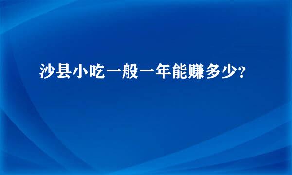 沙县小吃一般一年能赚多少？