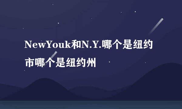 NewYouk和N.Y.哪个是纽约市哪个是纽约州