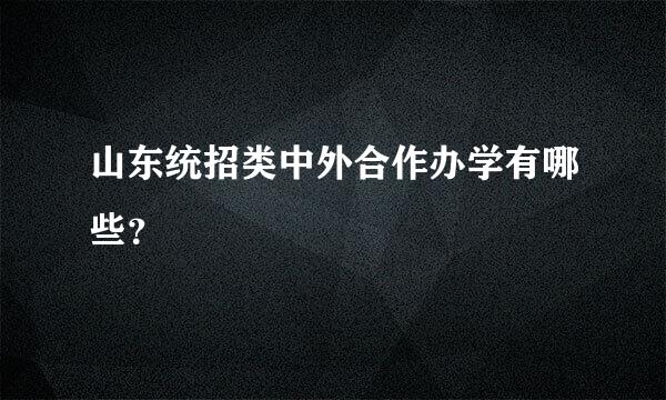 山东统招类中外合作办学有哪些？