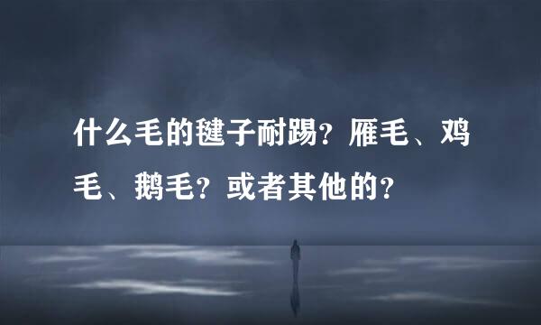 什么毛的毽子耐踢？雁毛、鸡毛、鹅毛？或者其他的？