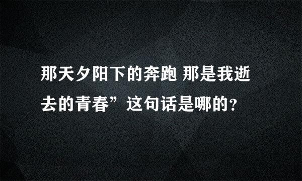 那天夕阳下的奔跑 那是我逝去的青春”这句话是哪的？