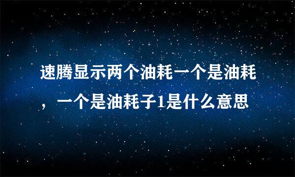 速腾显示两个油耗一个是油耗，一个是油耗子1是什么意思