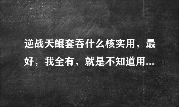 逆战天鲲套吞什么核实用，最好，我全有，就是不知道用哪个，大佬一般都用什么核，