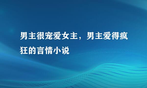 男主很宠爱女主，男主爱得疯狂的言情小说