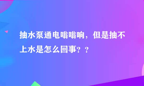 抽水泵通电嗡嗡响，但是抽不上水是怎么回事？？