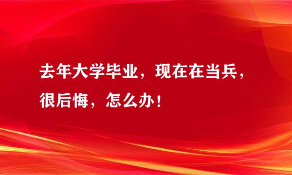 去年大学毕业，现在在当兵，很后悔，怎么办！