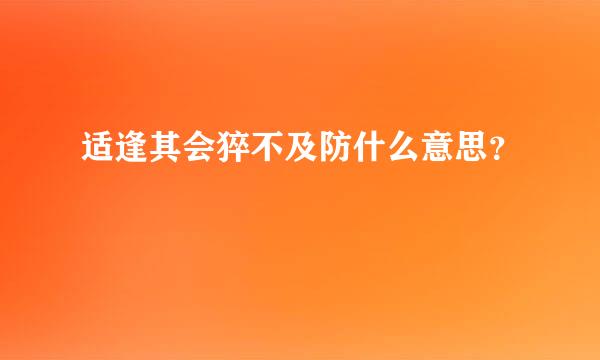 适逢其会猝不及防什么意思？