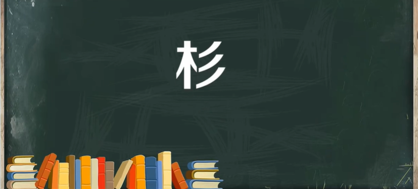 杉木造句二年级简单