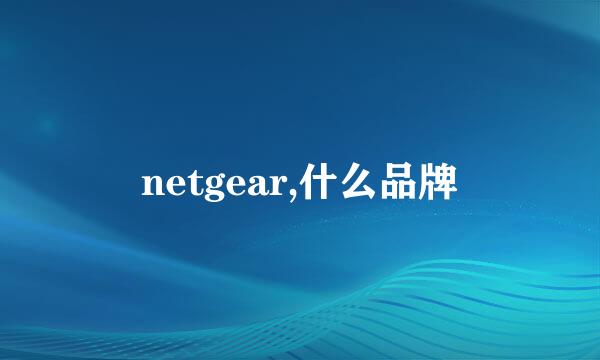 netgear,什么品牌