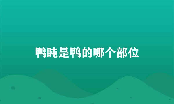 鸭盹是鸭的哪个部位