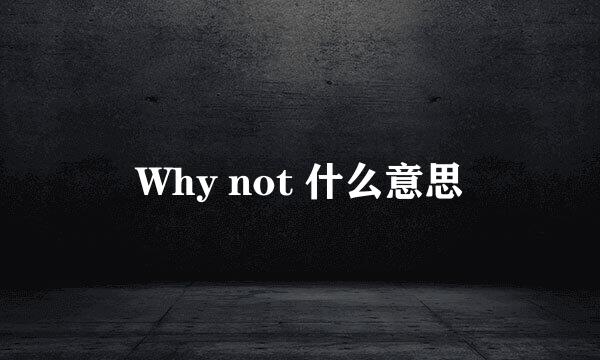 Why not 什么意思