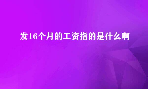 发16个月的工资指的是什么啊