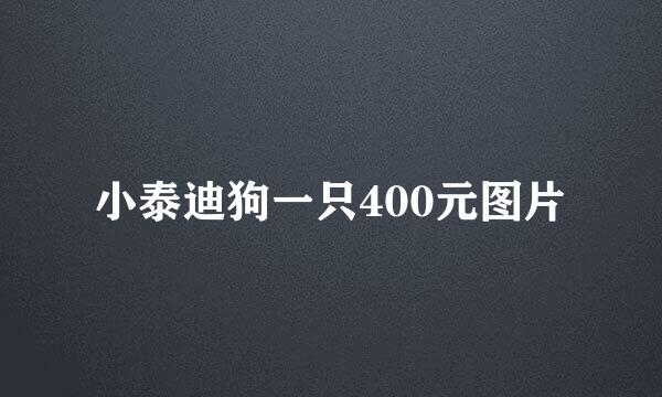 小泰迪狗一只400元图片