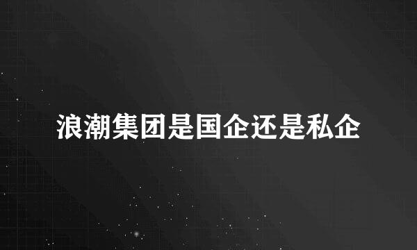 浪潮集团是国企还是私企