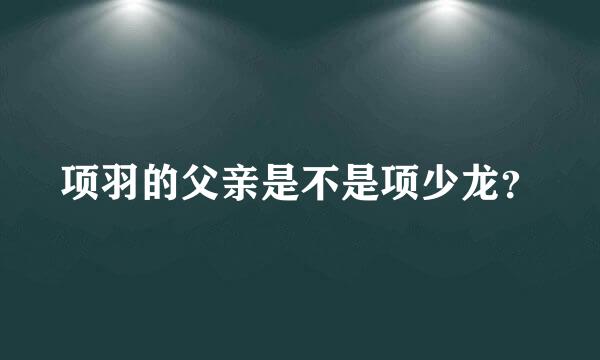 项羽的父亲是不是项少龙？