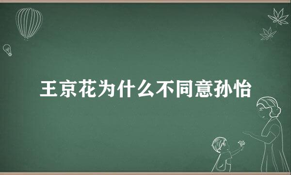 王京花为什么不同意孙怡