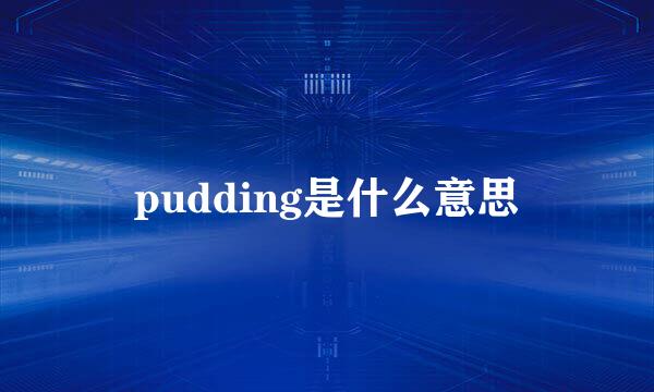 pudding是什么意思