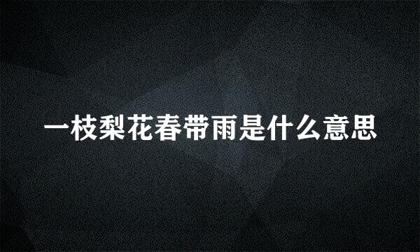 一枝梨花春带雨是什么意思