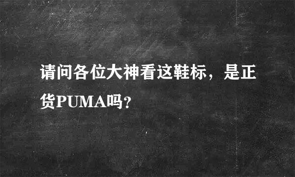 请问各位大神看这鞋标，是正货PUMA吗？