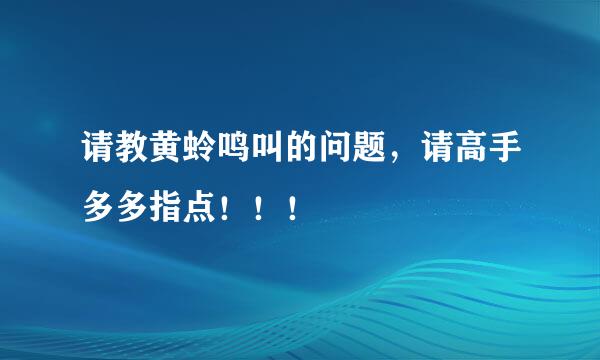 请教黄蛉鸣叫的问题，请高手多多指点！！！