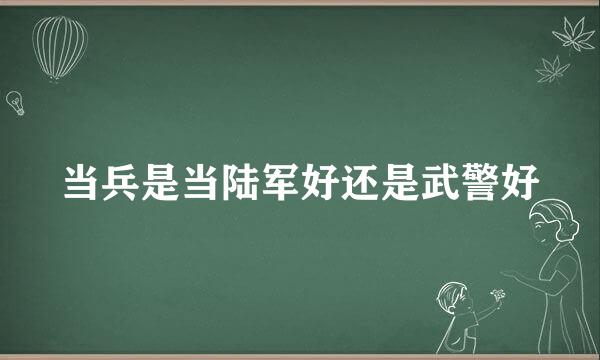 当兵是当陆军好还是武警好