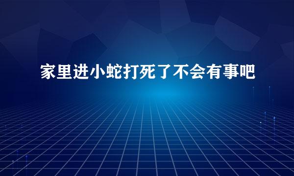 家里进小蛇打死了不会有事吧