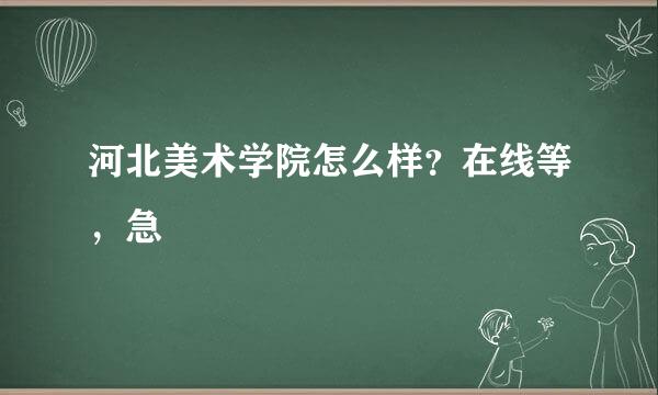 河北美术学院怎么样？在线等，急