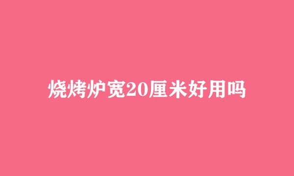 烧烤炉宽20厘米好用吗