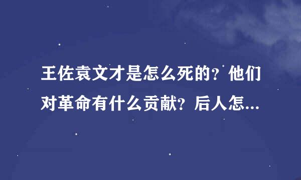 王佐袁文才是怎么死的？他们对革命有什么贡献？后人怎么评价他?