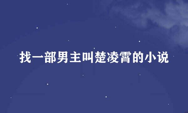 找一部男主叫楚凌霄的小说