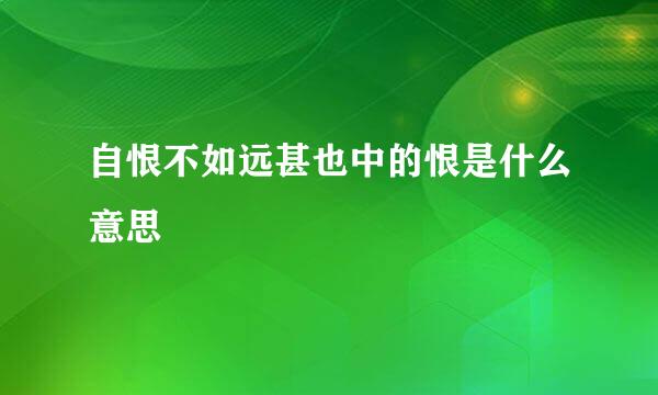 自恨不如远甚也中的恨是什么意思