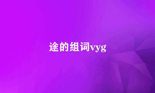 途的组词vyg