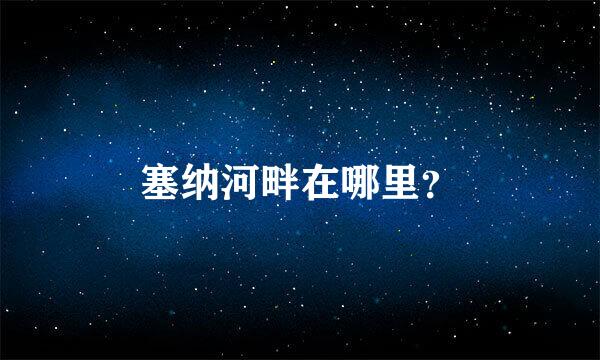 塞纳河畔在哪里？