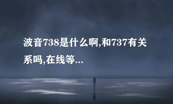 波音738是什么啊,和737有关系吗,在线等...