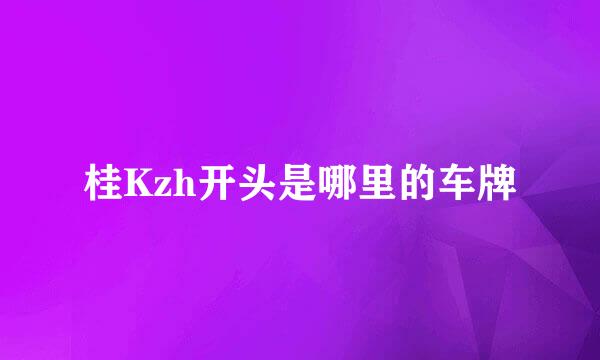 桂Kzh开头是哪里的车牌