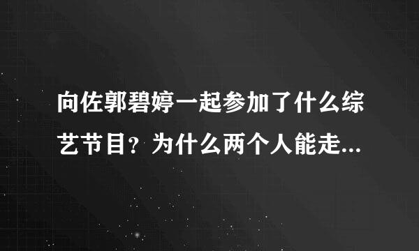 向佐郭碧婷一起参加了什么综艺节目？为什么两个人能走到一起？