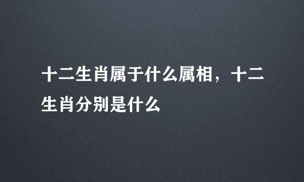 十二生肖属于什么属相，十二生肖分别是什么