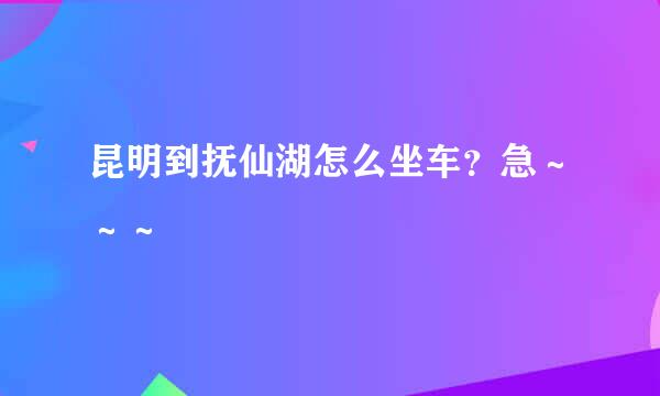 昆明到抚仙湖怎么坐车？急～～～