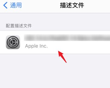 苹果手机不可移除的描述文件怎么删除