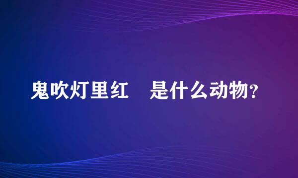 鬼吹灯里红犼是什么动物？