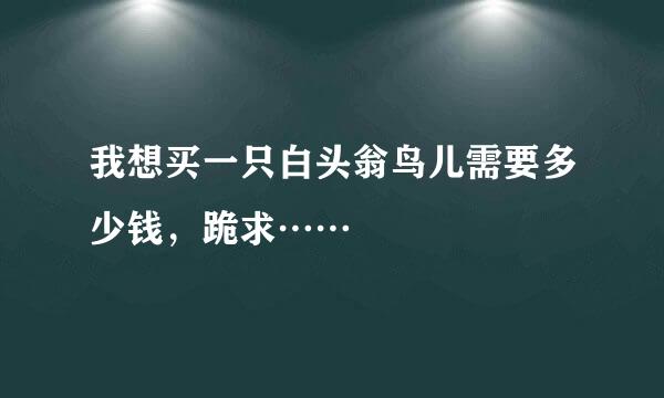 我想买一只白头翁鸟儿需要多少钱，跪求……