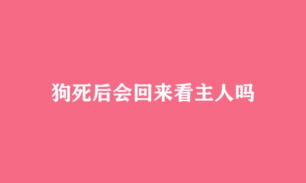 狗死后会回来看主人吗