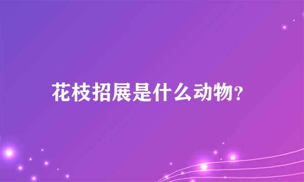 花枝招展是什么动物？